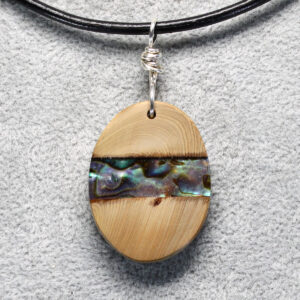 Schwemmholz mit Abalone